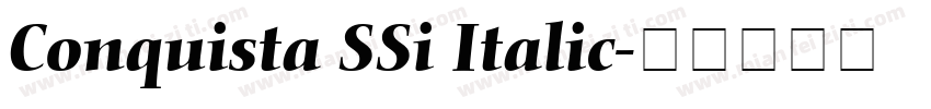 Conquista SSi Italic字体转换